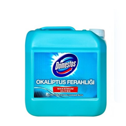 Domestos 3240 ml okalıptus