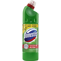 Domestos 750 ml.dag esıntısı