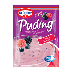 Dr oetker pudıng orm.meyv.81 gr