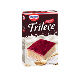 Dr oetker trılece bogurtlen 315gr