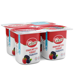 Eker probıyotık yogurt orman mey.4*100gr