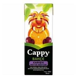Cappy karısık meyve nektarı 200ml