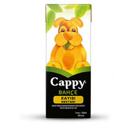 Cappy kayısı nektarı 200ml