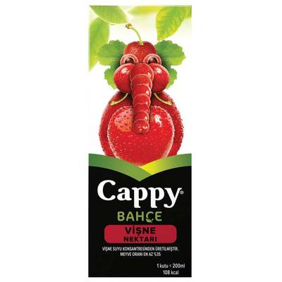 Cappy vısne nektarı 200ml - 1