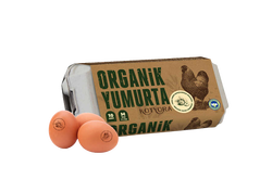 KOTYORA - Kotyora organık yumurta 10`lu 