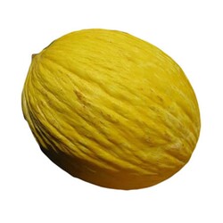 Kavun (sarı)