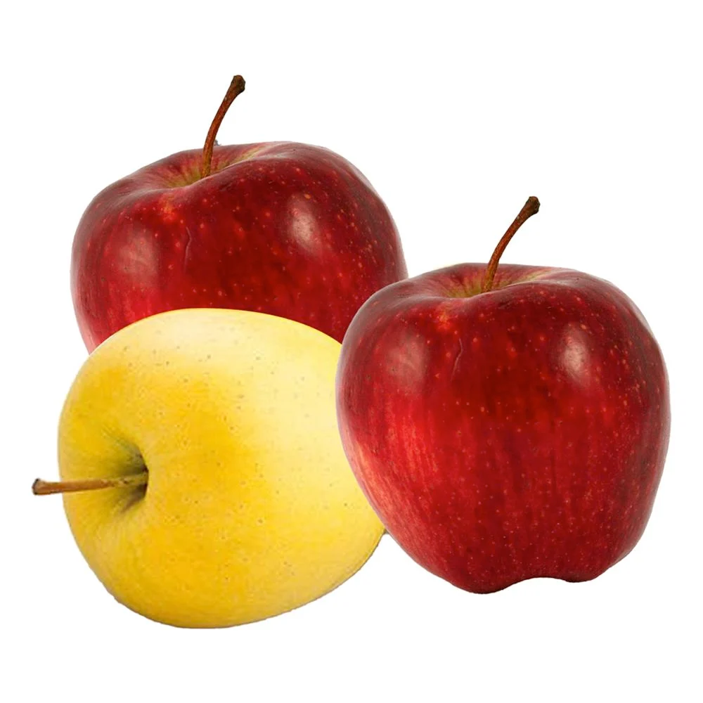 MANAV - Elma (srt gold)