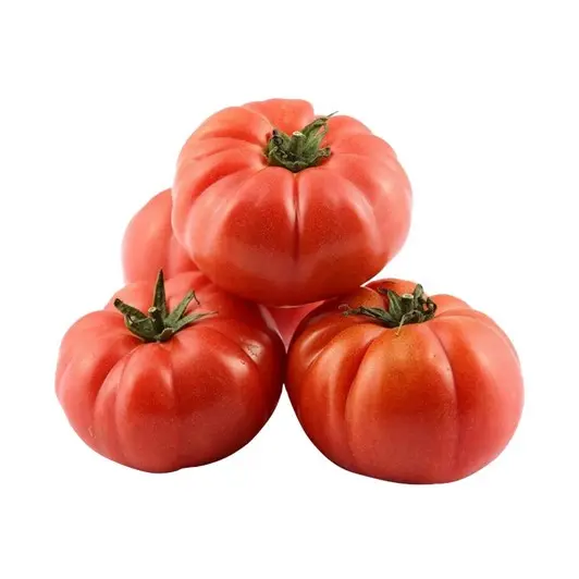 MANAV - Domates pembe
