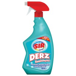 Sır derz temızleyıcı 750 ml