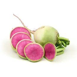 MANAV - Turp (vezir)